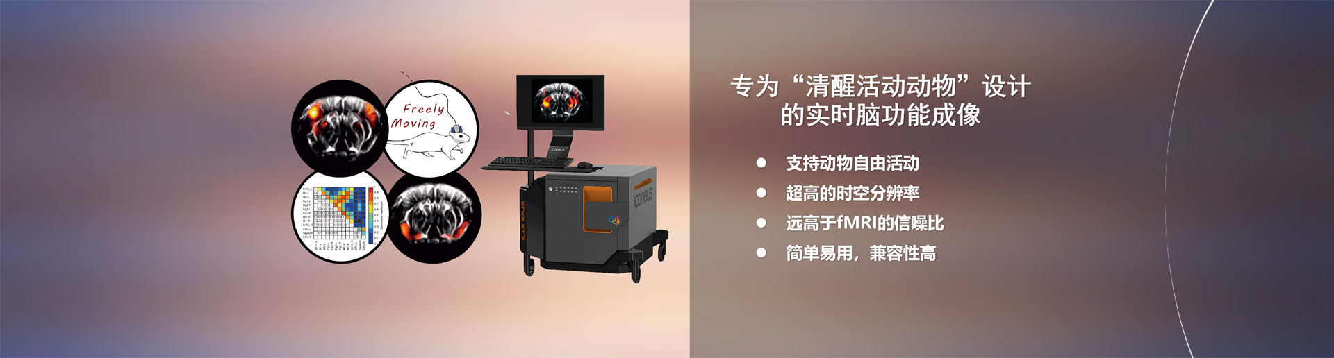 大图一
