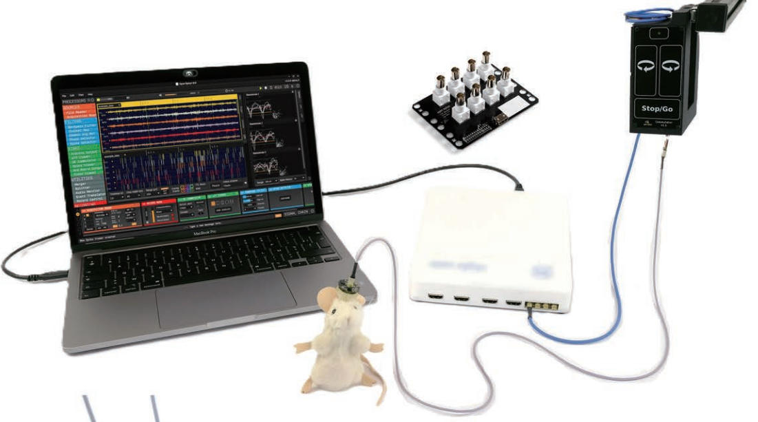 Open Ephys在体多通道电生理