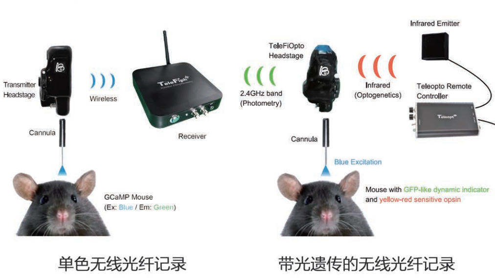 TeleFipho无线式光纤记录
