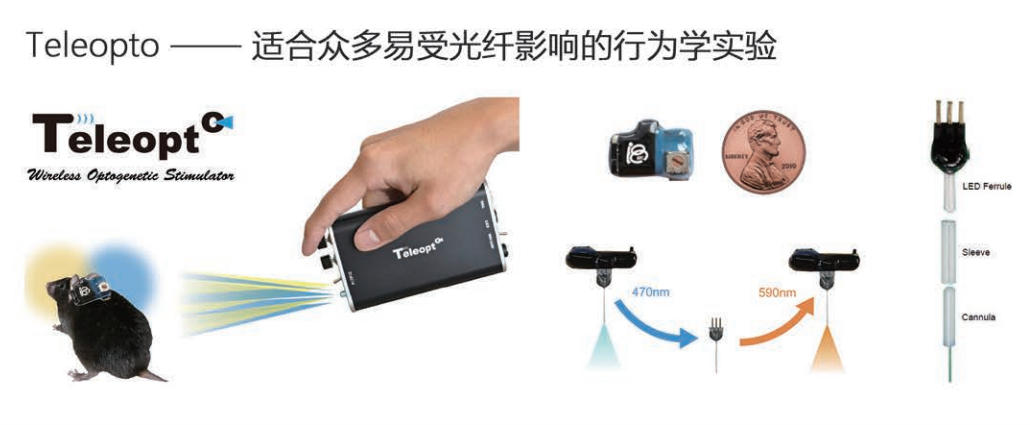 Teleopto无线式光遗传刺激