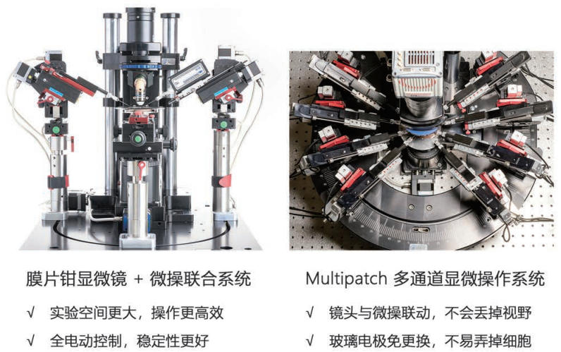 膜片钳显微操作平台